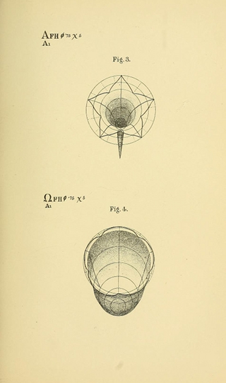 Illustration for article titled These 19th-century diagrams were one man's attempt to illustrate human consciousness
